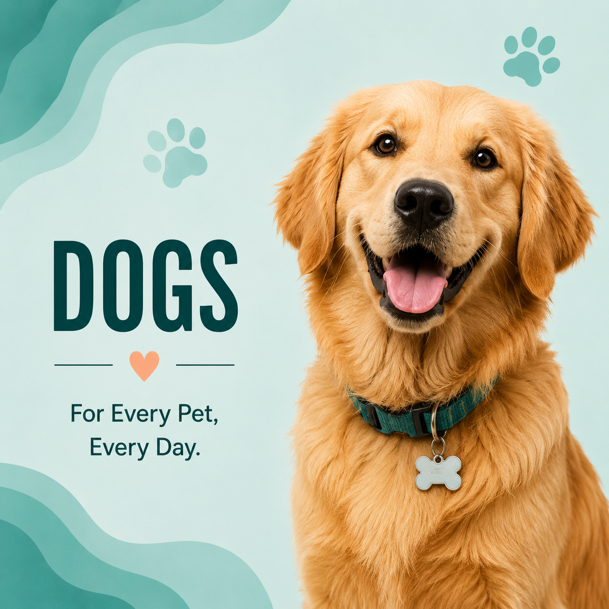 Dogs