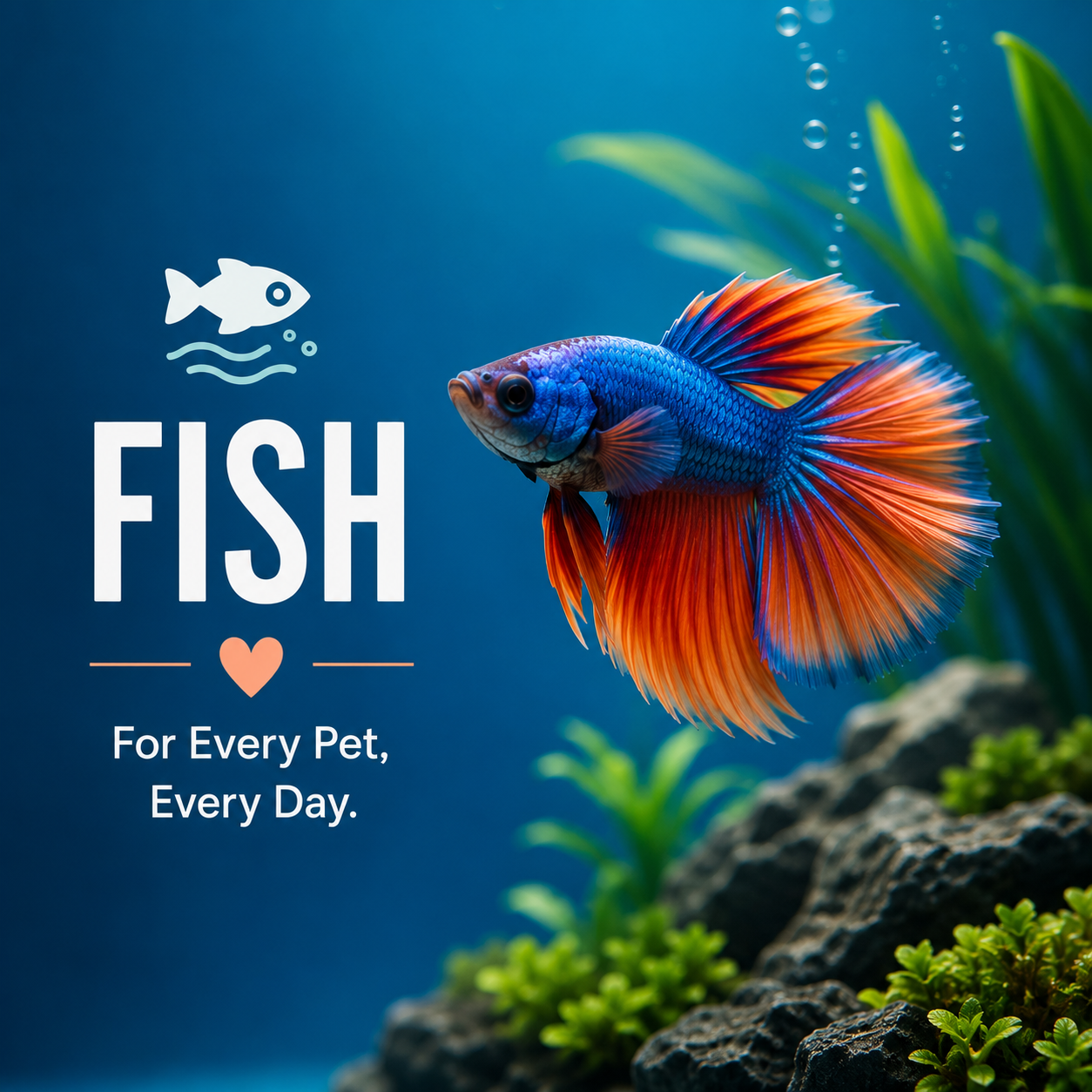 Fish