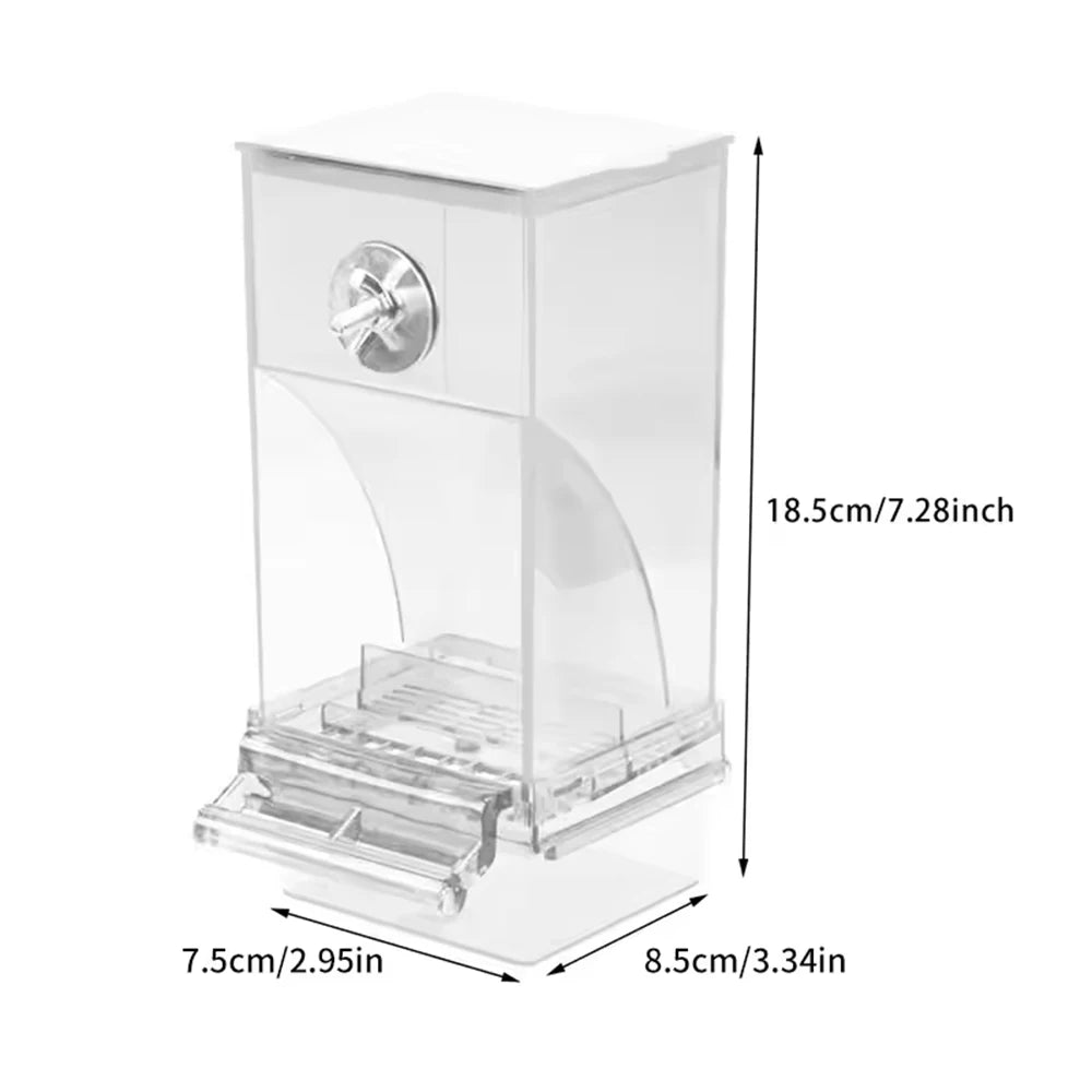 No-Spill Bird Feeder for Parrots & Small Birds