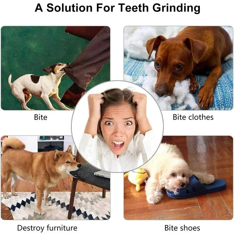 Interactive Treat Dispensing Dog Chew Ball