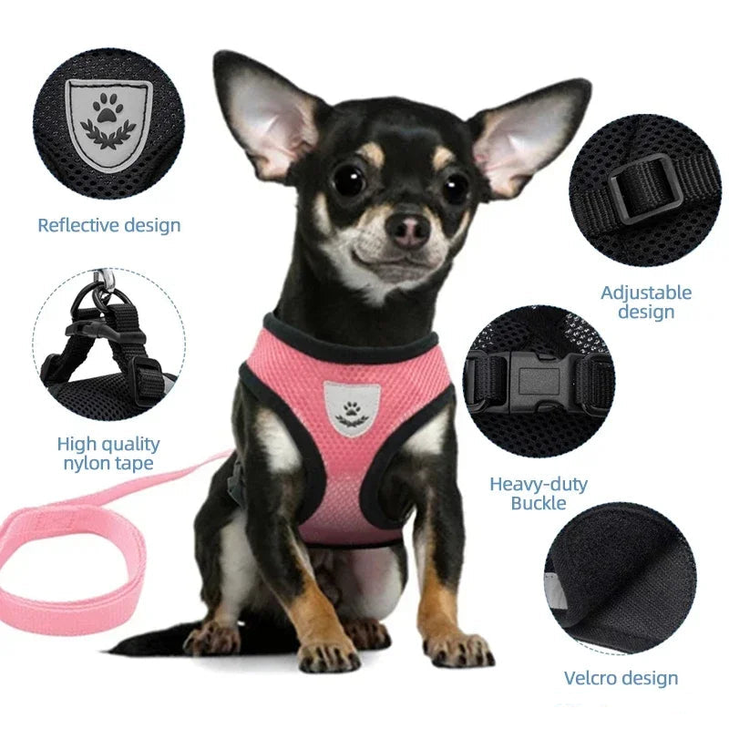 Adjustable Mesh Dog/Cat Harness & Leash Set