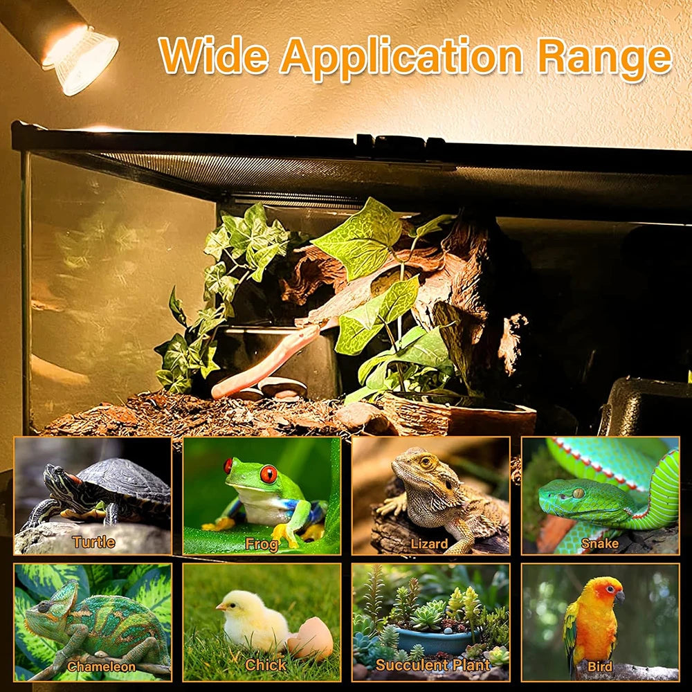 50W Reptile Heat Lamp with UVA & UVB Basking Light