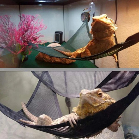 Reptile Hammock Hanging & Climbing Ladder