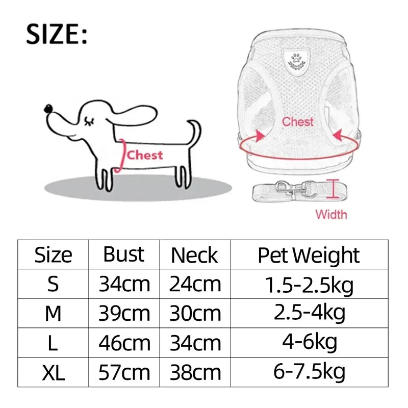 Adjustable Mesh Dog/Cat Harness & Leash Set