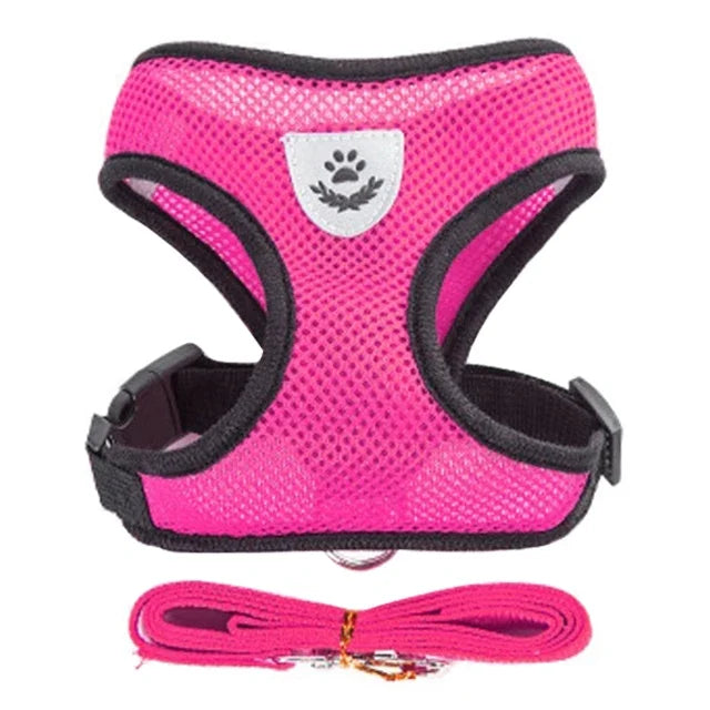 Adjustable Mesh Dog/Cat Harness & Leash Set