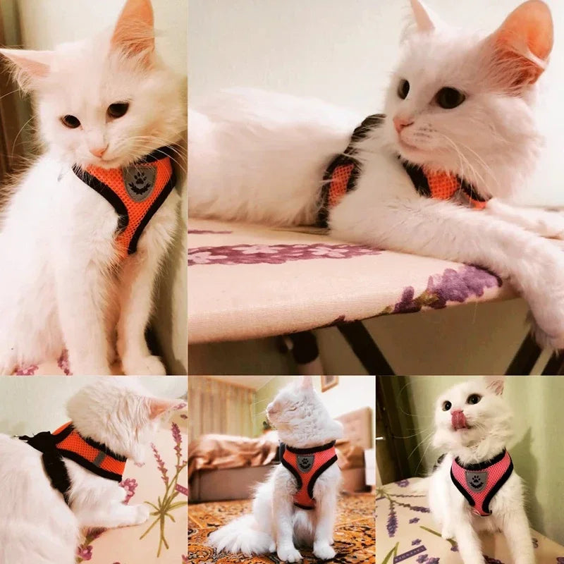 Adjustable Mesh Dog/Cat Harness & Leash Set
