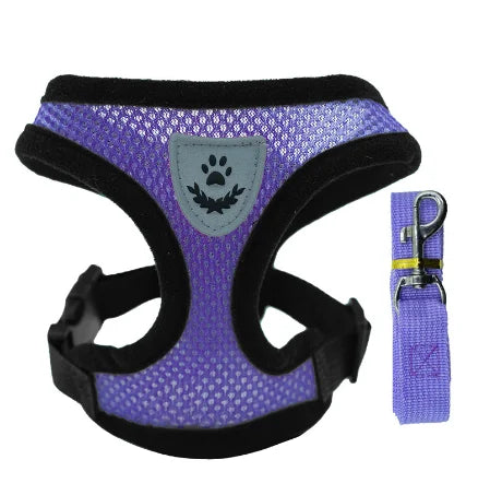 Adjustable Mesh Dog/Cat Harness & Leash Set