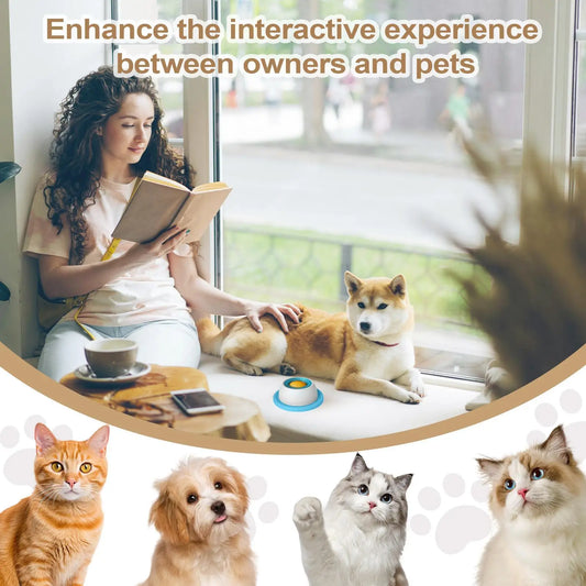 Interactive Dog Treat Puzzle Feeder