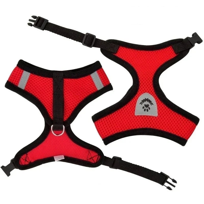 Adjustable Mesh Dog/Cat Harness & Leash Set