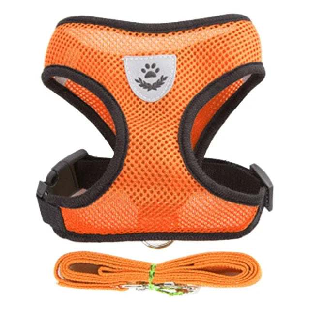 Adjustable Mesh Dog/Cat Harness & Leash Set