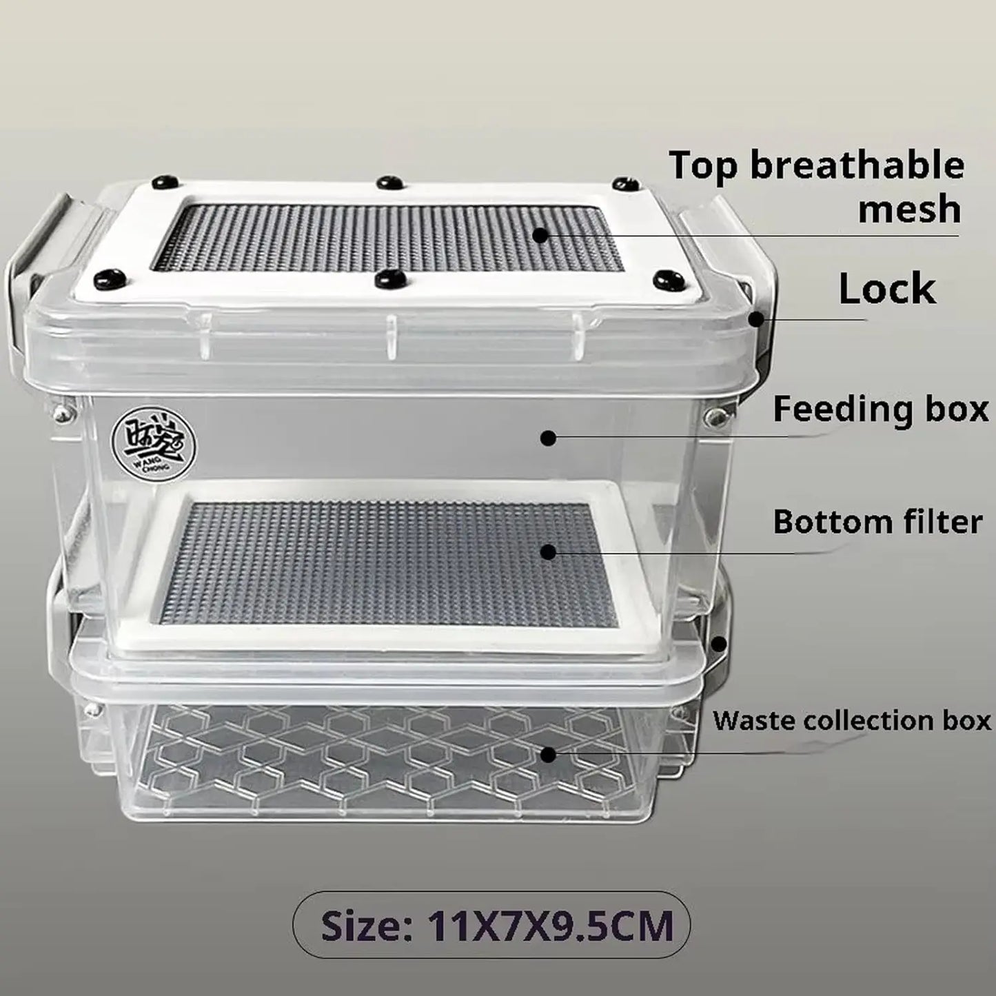 Transparent Acrylic Reptile Feeding Box