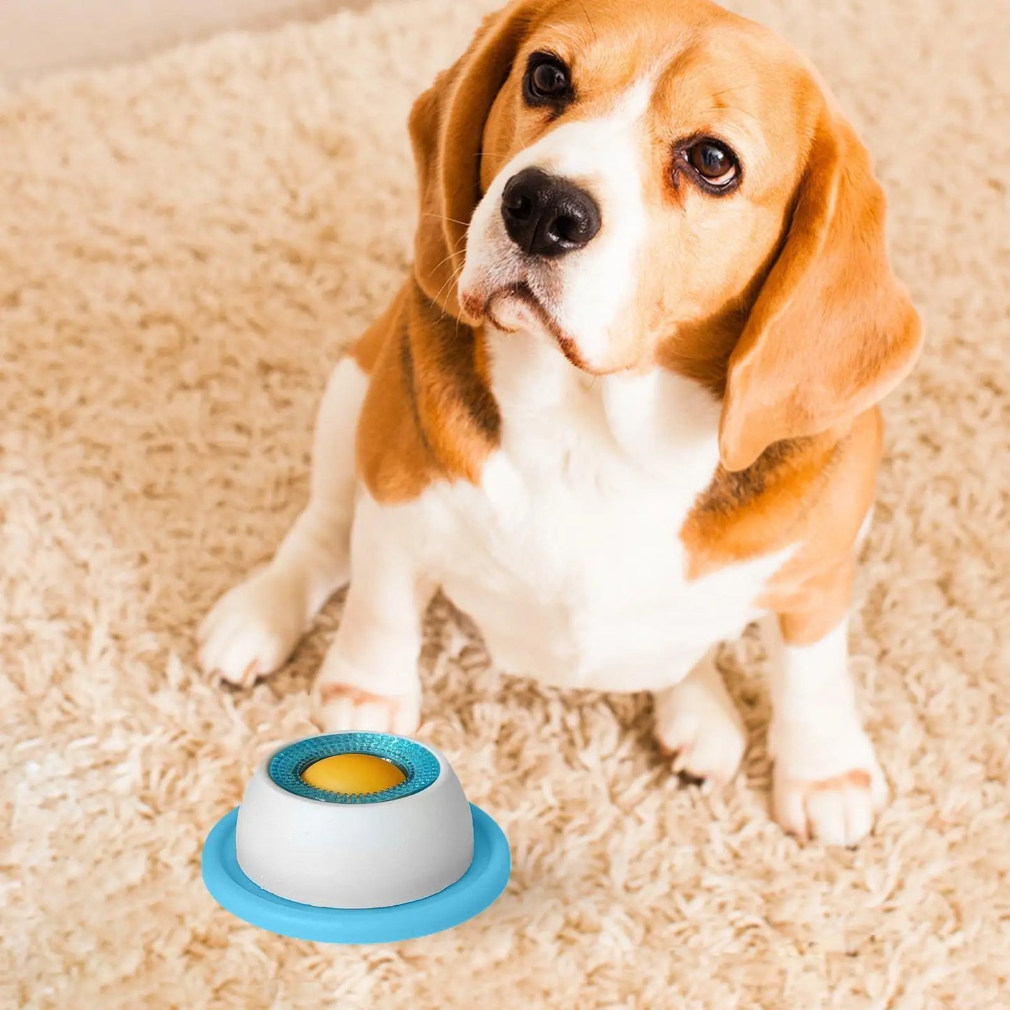 Interactive Dog Treat Puzzle Feeder