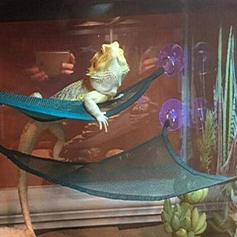 Reptile Hammock Hanging & Climbing Ladder