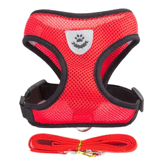Adjustable Mesh Dog/Cat Harness & Leash Set