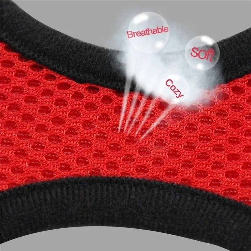 Adjustable Mesh Dog/Cat Harness & Leash Set