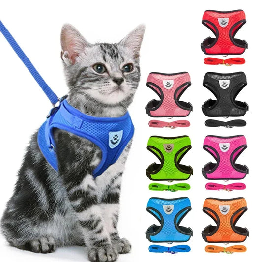 Adjustable Mesh Dog/Cat Harness & Leash Set