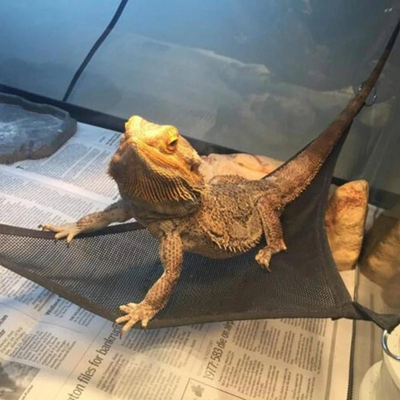 Reptile Hammock Hanging & Climbing Ladder
