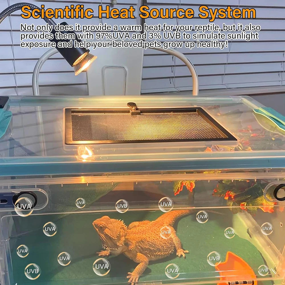 50W Reptile Heat Lamp with UVA & UVB Basking Light