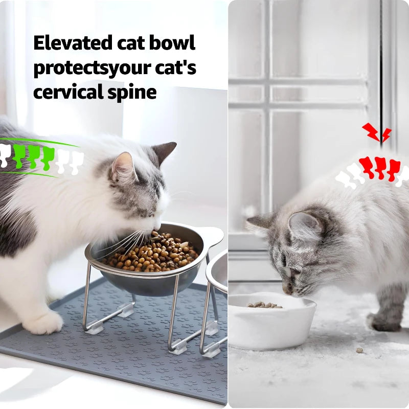 Elevated Stainless Steel Cat Bowl with 15° Tilt