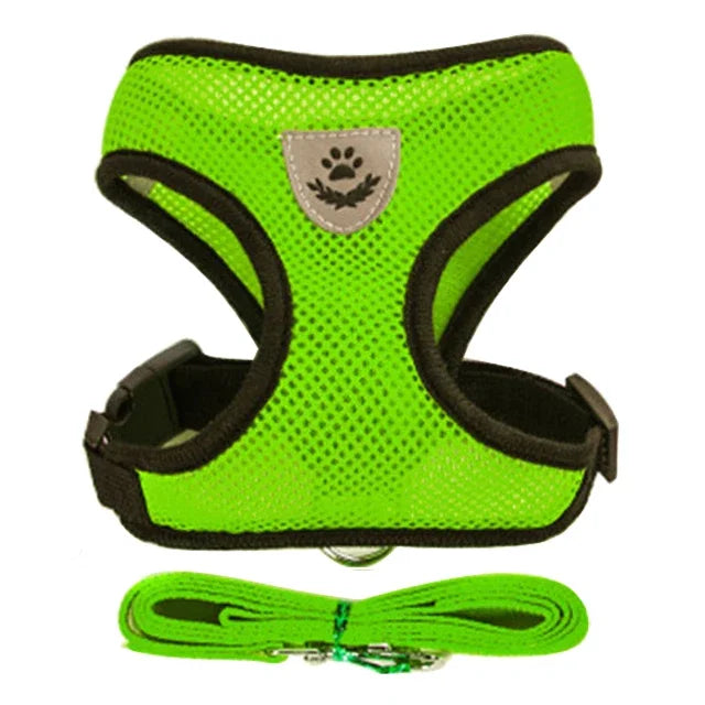 Adjustable Mesh Dog/Cat Harness & Leash Set