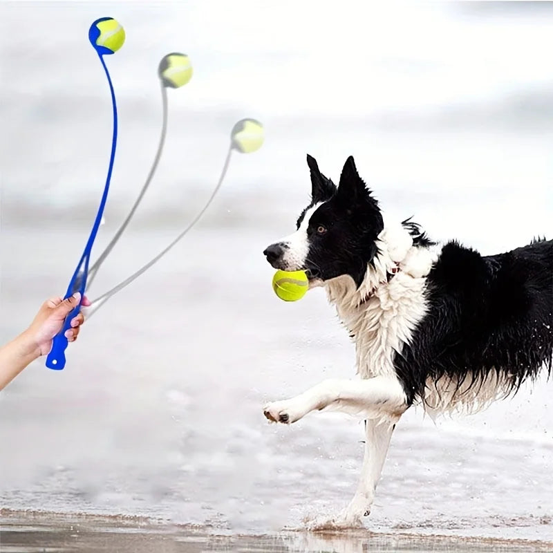 Interactive Dog Ball Launcher for Outdoor Fetch
