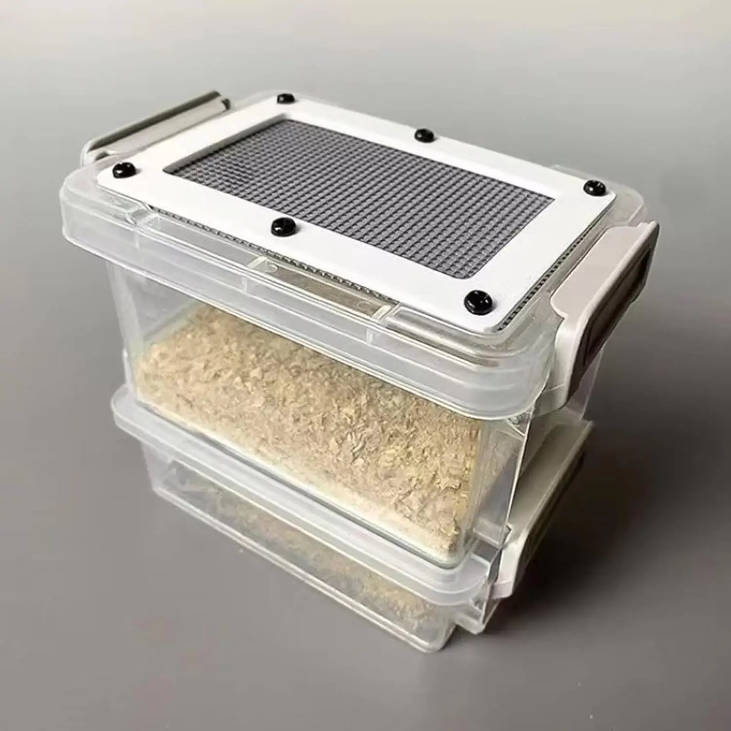 Transparent Acrylic Reptile Feeding Box