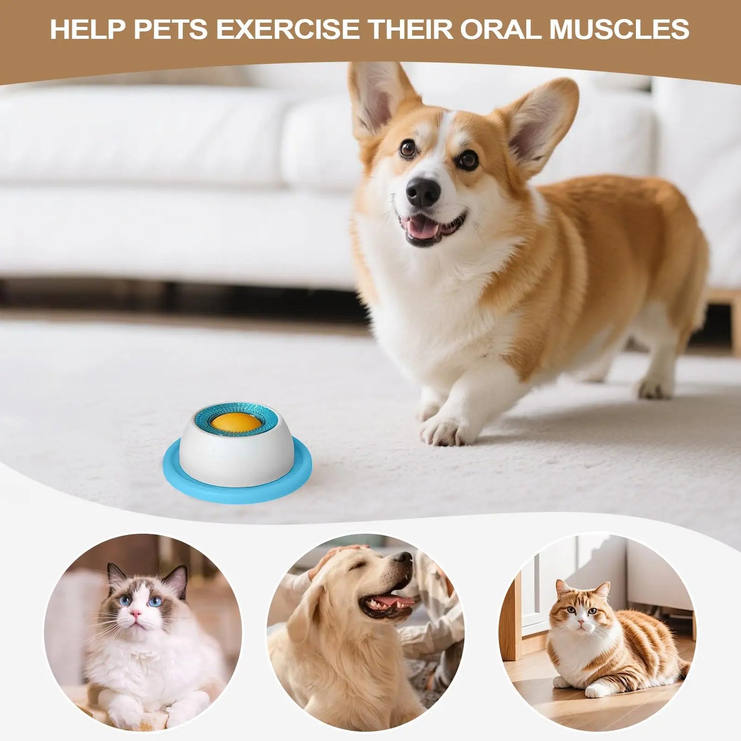 Interactive Dog Treat Puzzle Feeder
