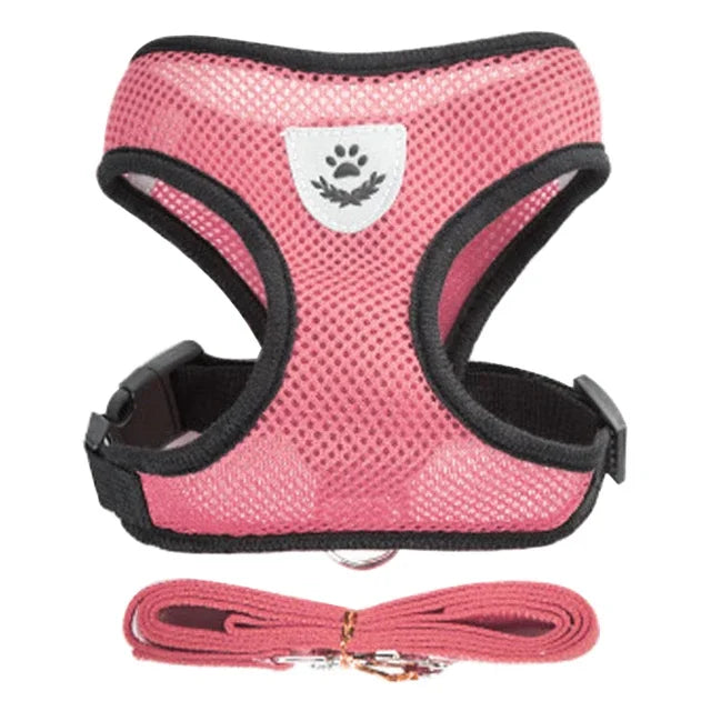 Adjustable Mesh Dog/Cat Harness & Leash Set