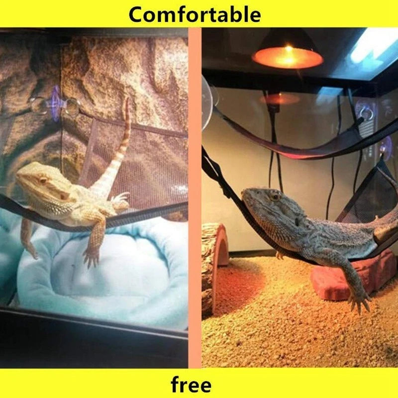 Reptile Hammock Hanging & Climbing Ladder