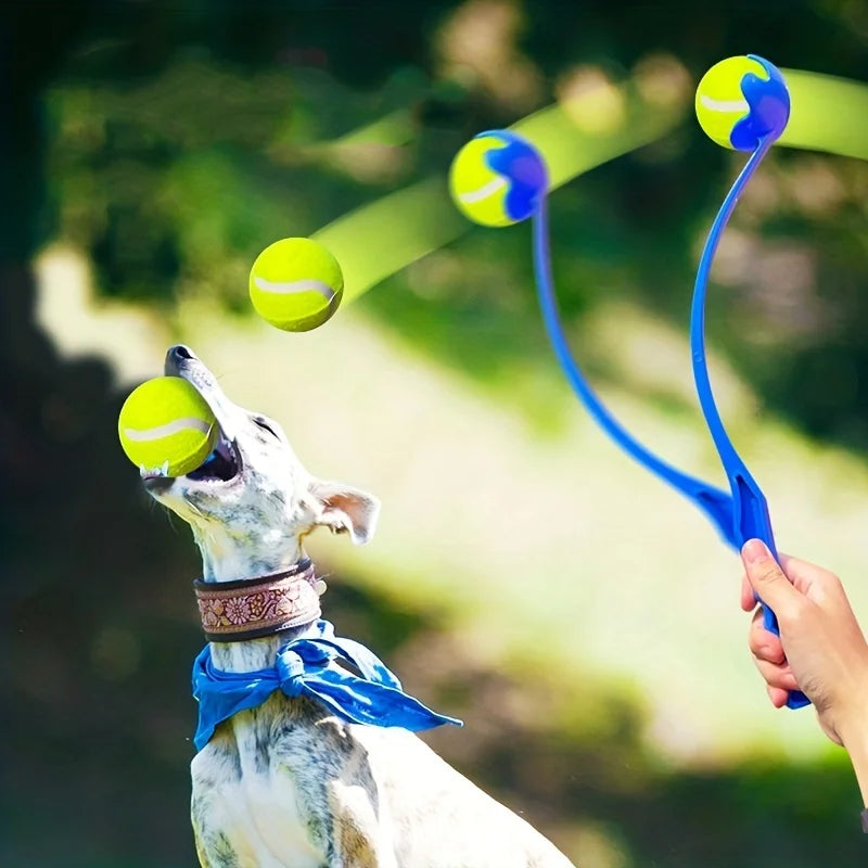 Interactive Dog Ball Launcher for Outdoor Fetch
