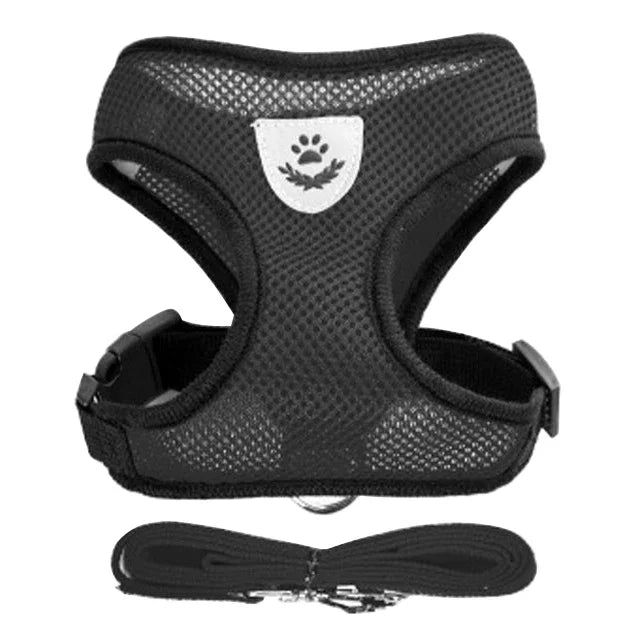 Adjustable Mesh Dog/Cat Harness & Leash Set