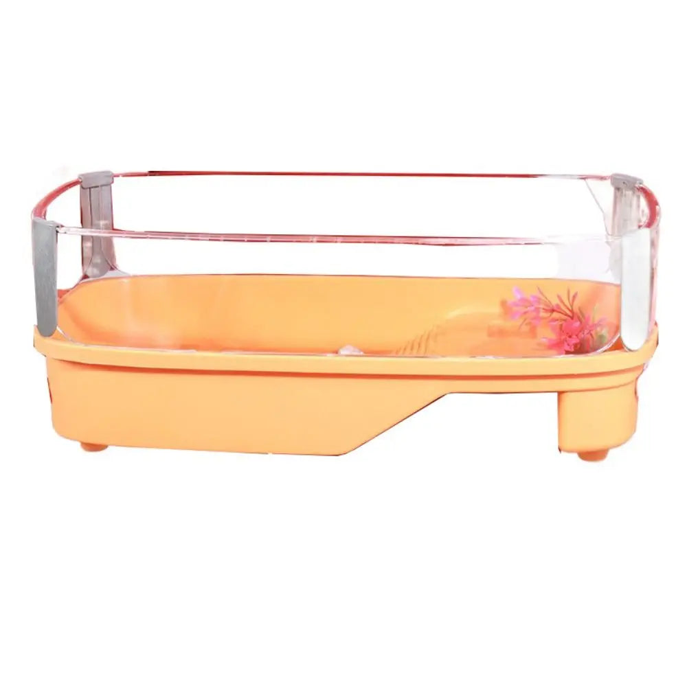 Transparent Turtle Habitat with Basking Platform